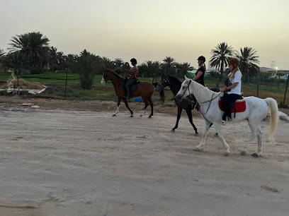 اسطبل حميد - دبي -