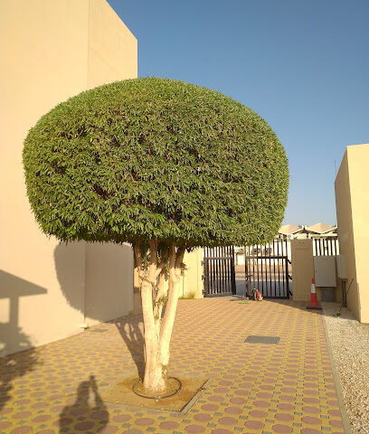سكن الذكور EFS - دبي -