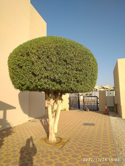 سكن الذكور EFS - United Arab Emirates|Abu Dhabi|Unnamed Road|4RWJ+R9Q
