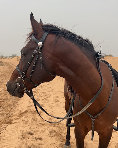 SS مستقرة - United Arab Emirates|Alzubair - Sharjah|شارع