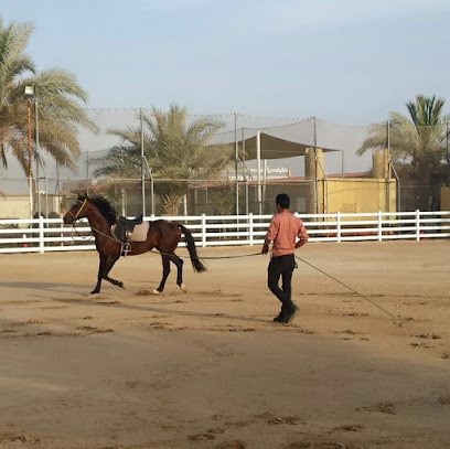 نادي الشهامة للفروسية AL Shahama Equestrian Club - دبي - +971 54 444 6762