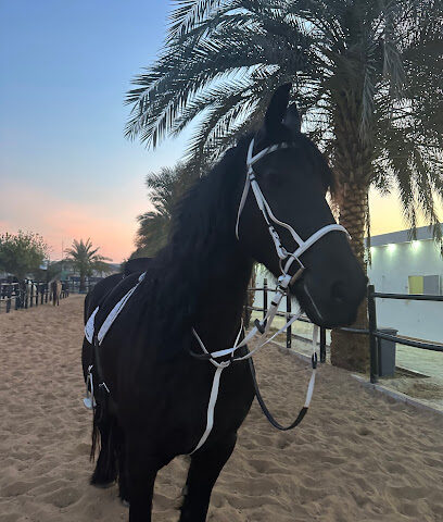 هورسلاند - دبي - +971 50 111 1050