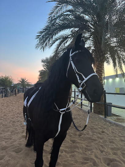 هورسلاند - United Arab Emirates|Al Bahyah - Abu Dhabi|13 Lane 406