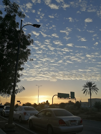 مدينة العين - United Arab Emirates|Central District - Abu Dhabi|6QC5+3HR