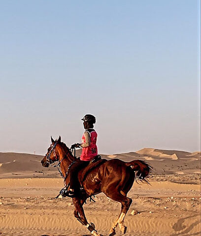 نادي ديزرت هاك لركوب الخيل - دبي - +971 50 522 0016