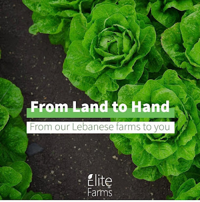 مزارع النخبة - عجمان - +971 52 841 2771