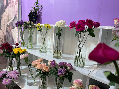 زهور فريزيا - عجمان - +971 50 740 2226