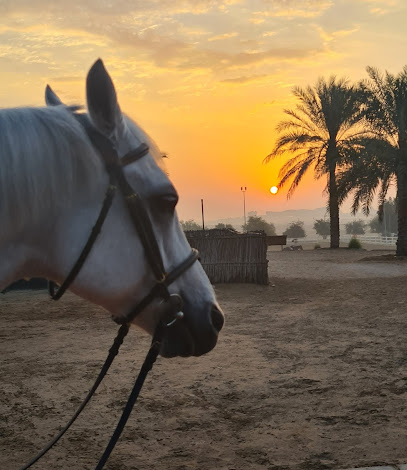 نادي الأصايل للسباق والفروسية - دبي - +971 2 582 5577