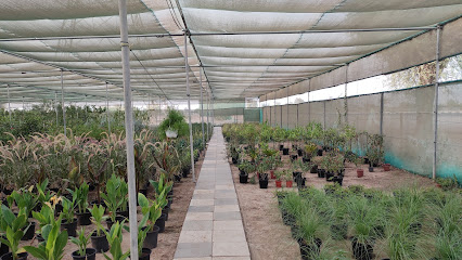 حضانة الحمرانية مشتل الحمرانية - دبي - +971 50 452 0489
