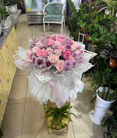 أزهار وردة الصحراء لتجارة نباتات الزينة ش.ذ. - عجمان - +971 50 232 4147