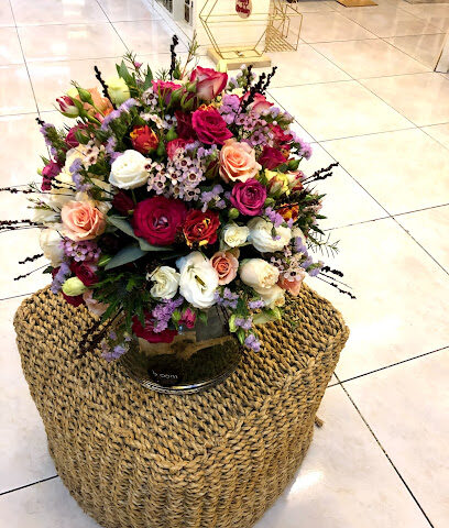 زهور بلوم - عجمان - +971 9 244 3927