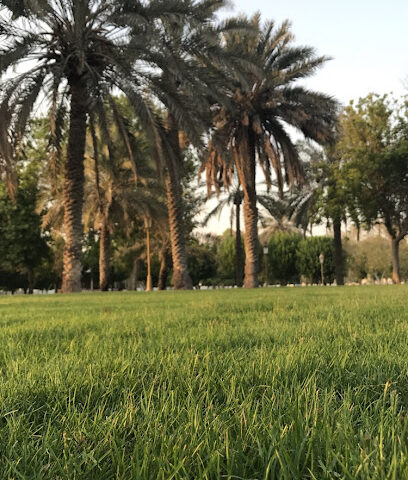 حديقة الحزام الأخضر للسيدات - دبي - +971 6 516 2328