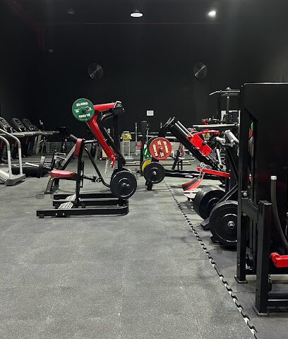 ألفا جيم - دبي - +971 54 706 7667