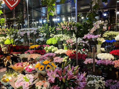 نحن الزهور ذ م م - عجمان - +971 4 427 4016