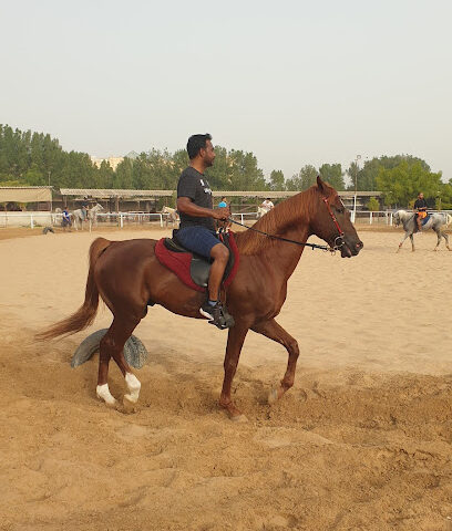 إسطبلات الوصل للفروسية - دبي - +971 50 655 5215