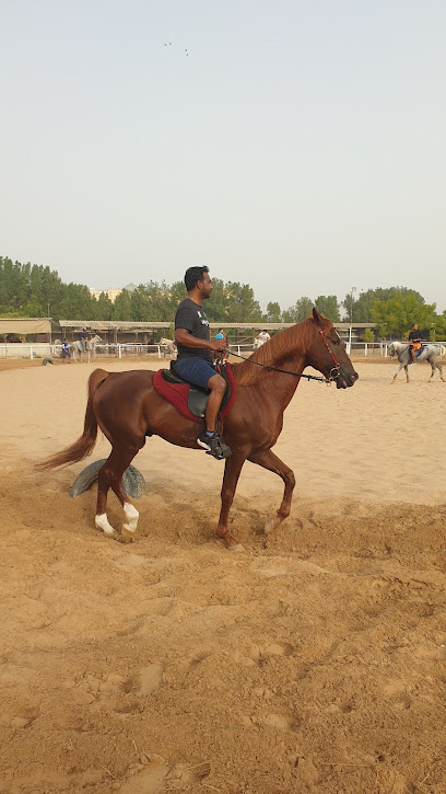 إسطبلات الوصل للفروسية - United Arab Emirates|Wadi Al Amardi - Dubai|Al Khawaneej St|6F98+H7M