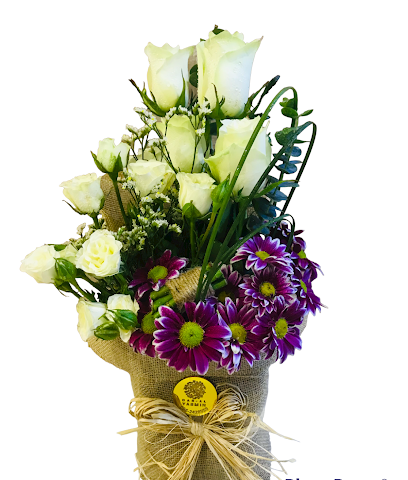 دار الياسمين - عجمان - +971 52 910 6535