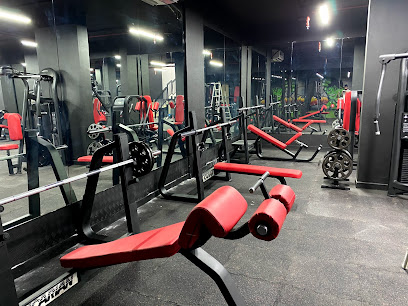 100 جم - دبي - +971 50 330 0667
