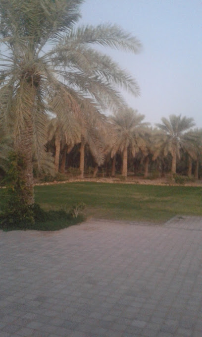 مزرعة خلفان خميس العميمي هيلي - United Arab Emirates|Hili - Abu Dhabi|Dubai road|7QV5+6CM