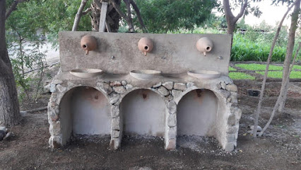 مزرعة ريناوي - عجمان -