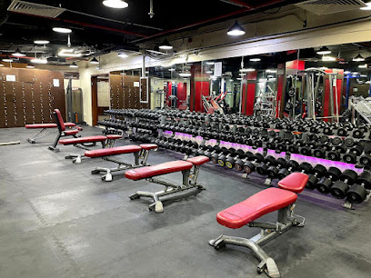 فات تو فيت فيتنس جيم - دبي - +971 56 556 5003