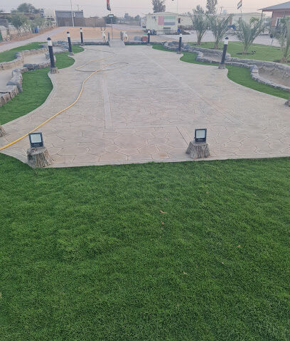 مزرعة صعدة - عجمان - +971 50 652 3883