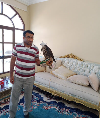 دكتور حشمت - أبو ظبي - +971 50 160 7748