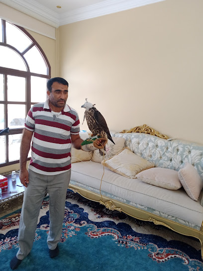 دكتور حشمت - United Arab Emirates|Abu Dhabi|Um Az Zumul Hameem Aradda Rd