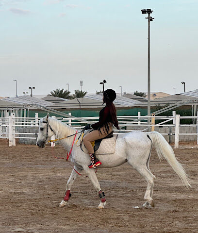 أكاديمية سبارتا - دبي - +971 52 921 2999