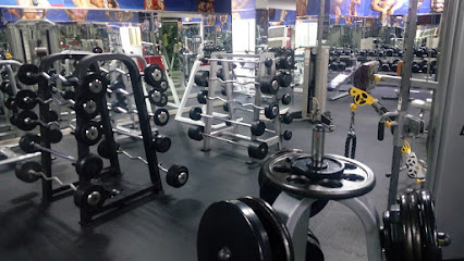 صالة الباسل ذ م م - دبي - +971 4 343 3111