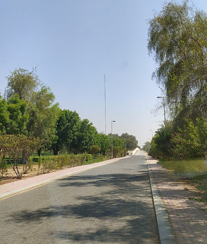 مزرعة الحكام - عجمان -
