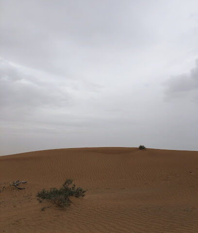 الجويعة - رأس الخيمة - عجمان -