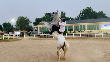 نادي السويدي لركوب الخيل - دبي - +971 52 101 6833
