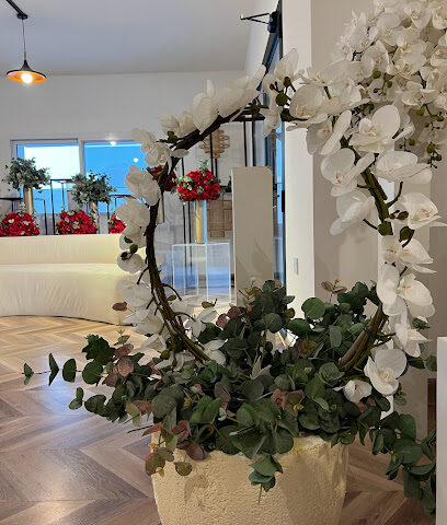 منزل ايفنتي - عجمان - +971 58 200 3088