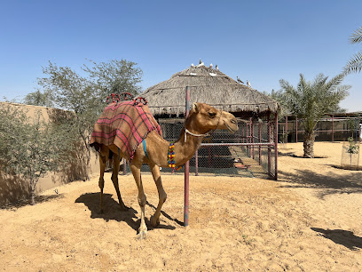 مزرعة الجمال - عجمان - +971 50 485 7676