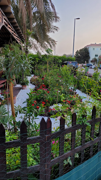 حديقة عكاشة - United Arab Emirates|Al Manhal - Al ManhalW15-02 - Abu Dhabi|36 Al Hareer St