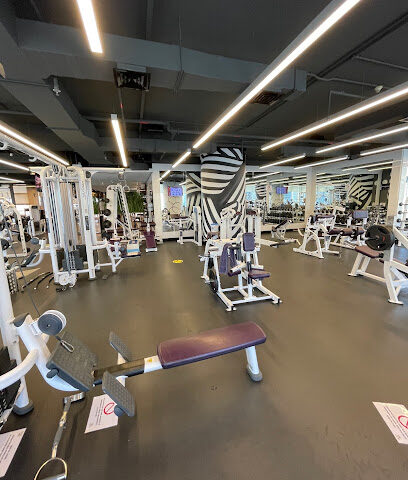 ذا جيم - برج فيجن - دبي - +971 4 442 6586
