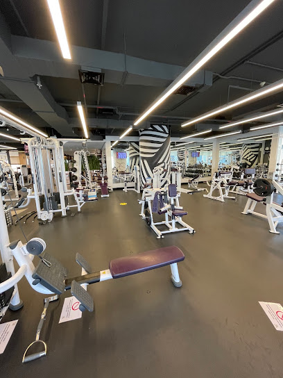 ذا جيم - برج فيجن - United Arab Emirates|Business Bay - Dubai|Vision Tower