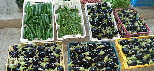 مزرعة الخير العضوية - عجمان -