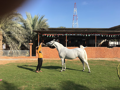 مزرعة ومربط مغيدر ومربط مغيدر - دبي - +971 50 770 0444