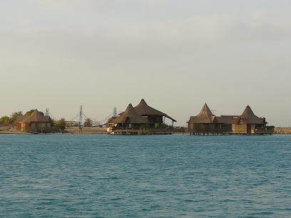 أسماك الجراف - عجمان - +971 2 815 5555