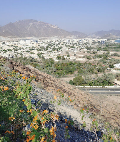 جبل الشاه - دبي -