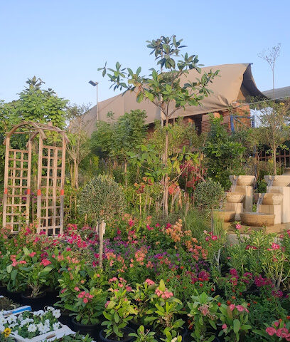 سافانا جميلة جدا المناظر الطبيعية ذ - دبي - +971 4 287 3321