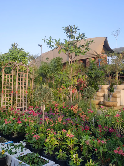 سافانا جميلة جدا المناظر الطبيعية ذ - United Arab Emirates|Warsan 3 - Dubai|opposite to Birds and Pets Market