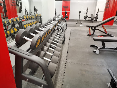 مركز بودي موف للياقة البدنية - دبي - +971 56 356 3096