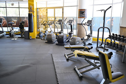 اللياقة البدنية 1 فرع مبنى الجسم 1 - دبي - +971 56 100 7300
