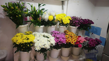 زهور لا فيندر - عجمان - +971 4 396 5475