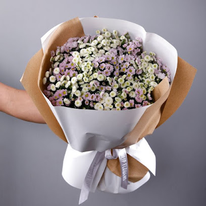 بلاك توليب فلاورز ذ م م - شويترامس جرين كوميونيتي - عجمان - +971 54 998 1029