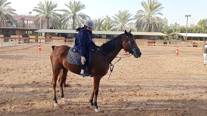 مدرسة فقط لركوب الخيل للسيدات - دبي - +971 55 621 4990