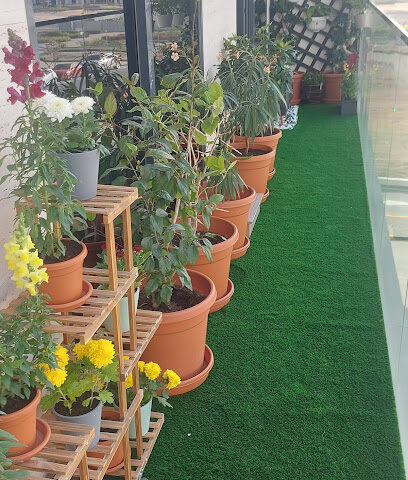 أمالي لتجارة النباتات والأشجار - دبي - +971 52 243 7512